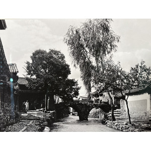รูปถ่าย จีน(China) ลี่เจียง(Lijiang) 2026-01 347