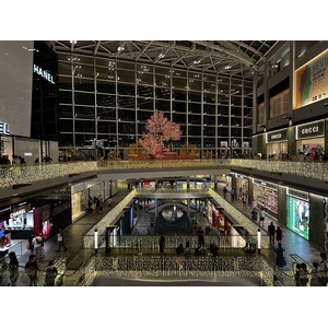 รูปถ่าย สิงคโปร์(Singapore) มารีนาเบย์แซนด์ส(Marina Bay Sands) 2023-01 54