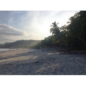 รูปถ่าย คอสตาริกา(Costa Rica) มอนเตซูมา(Montezuma) 2015-03 524