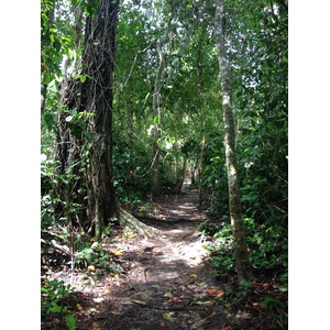 รูปถ่าย คอสตาริกา(Costa Rica) กาอุยตา(Cahuita) 2015-03 34