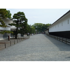 รูปถ่าย ญี่ปุ่น(Japan) เกียวโต(Kyoto) ปราสาทนิโจ(Nijo Castle) 2010-06 22
