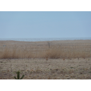 รูปถ่าย ลัตเวีย(Latvia) 2009-04 21