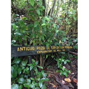 รูปถ่าย คอสตาริกา(Costa Rica) กาอุยตา(Cahuita) 2015-03 248