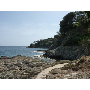 รูปถ่าย ฝรั่งเศส(France) คาบสมุทรเยียง(Giens Peninsula) 2009-05 36