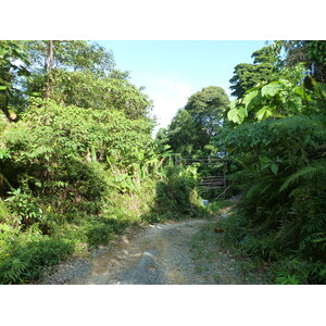 รูปถ่าย ไทย(Thailand) เกาะช้าง(Ko Chang) 2011-12 154