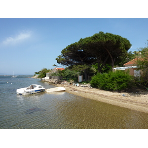 รูปถ่าย ฝรั่งเศส(France) คาบสมุทรเยียง(Giens Peninsula) 2009-05 11
