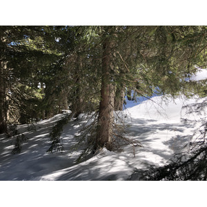รูปถ่าย ฝรั่งเศส(France) เมแฌฟว์(Megeve) 2019-03 59