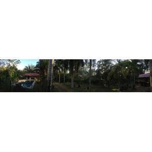 รูปถ่าย คอสตาริกา(Costa Rica) อูบีตา(Uvita) 2015-03 69