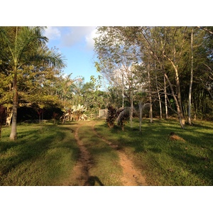 รูปถ่าย คอสตาริกา(Costa Rica) อูบีตา(Uvita) 2015-03 62