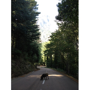 รูปถ่าย ฝรั่งเศส(France) คอร์สิคา(Corsica) บาแวลลา(Bavella) 2012-09 11