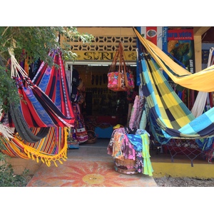รูปถ่าย คอสตาริกา(Costa Rica) มอนเตซูมา(Montezuma) 2015-03 94