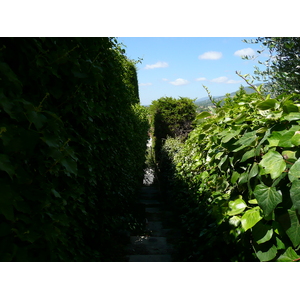 รูปถ่าย ฝรั่งเศส(France) วังซ์(Vence) วองซ์ด้านตะวันตก(Vence West) 2007-07 4