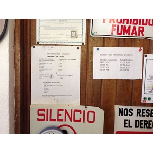 รูปถ่าย คอสตาริกา(Costa Rica) มอนเตซูมา(Montezuma) 2015-03 71
