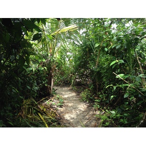 รูปถ่าย คอสตาริกา(Costa Rica) กาอุยตา(Cahuita) 2015-03 79