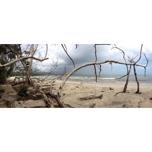 รูปถ่าย คอสตาริกา(Costa Rica) กาอุยตา(Cahuita) 2015-03 99