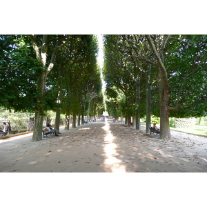 รูปถ่าย ฝรั่งเศส(France) ปารีส(Paris) สวนพันธ์ุพืช(Jardin des Plantes) 2007-08 158
