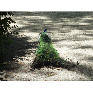 รูปถ่าย อิตาลี(Italy) วิลลาปัลลาวีชีโน(Villa Pallavicino) 2009-06 2