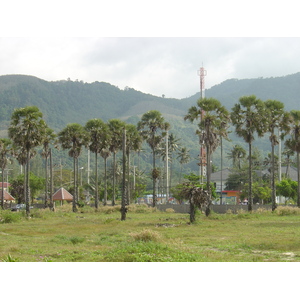 รูปถ่าย ไทย(Thailand) ภูเก็ต(Phuket) หาดกมลา(Kamala Beach) 2005-12 75