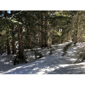 รูปถ่าย ฝรั่งเศส(France) เมแฌฟว์(Megeve) 2019-03 93