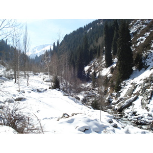 รูปถ่าย คาซัคสถาน(Kazakhstan) อุทยานแห่งชาติอีเลอาลาเตา(Ile Alatau National Park) 2007-03 44