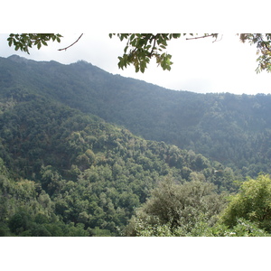 รูปถ่าย ฝรั่งเศส(France) คอร์สิคา(Corsica) วัลเล-ดาเลซานี(Valle d'alesani) 2006-09 99