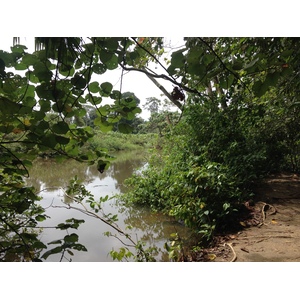 รูปถ่าย คอสตาริกา(Costa Rica) กาอุยตา(Cahuita) 2015-03 133
