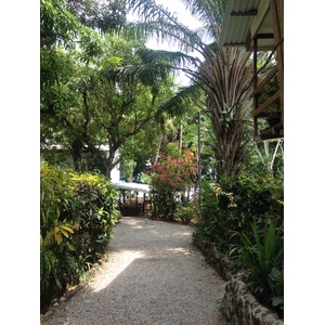 รูปถ่าย คอสตาริกา(Costa Rica) มอนเตซูมา(Montezuma) 2015-03 1