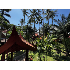 รูปถ่าย ไทย(Thailand) ภูเก็ต(Phuket) ป่าตอง(Patong) โรงแรมรอยัลภาวดีวิลเลจ(Royal Phawadee Village Hotel) 2021-12 14