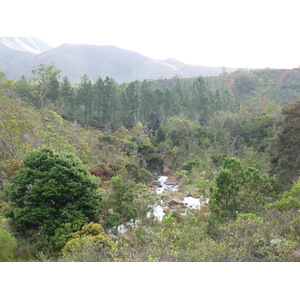 รูปถ่าย นิวแคลิโดเนีย(New Caledonia) อุทยานริเวียร์เบลอ(Parc de la Riviere Bleue) 2010-05 28