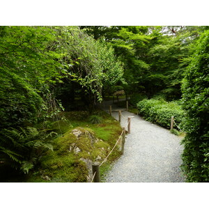 รูปถ่าย ญี่ปุ่น(Japan) เกียวโต(Kyoto) วัดเรียวอันจิ(Ryoanji Temple) 2010-06 36