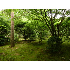 รูปถ่าย ญี่ปุ่น(Japan) เกียวโต(Kyoto) วัดเรียวอันจิ(Ryoanji Temple) 2010-06 20