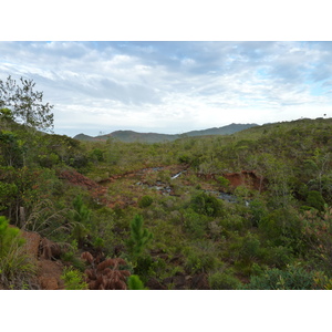 รูปถ่าย นิวแคลิโดเนีย(New Caledonia) อุทยานริเวียร์เบลอ(Parc de la Riviere Bleue) 2010-05 133