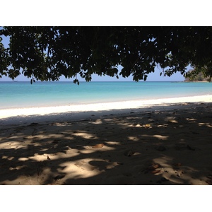 รูปถ่าย ปานามา(Panama) เกาะคอนตาโดรา(Contadora Island) 2015-03 148