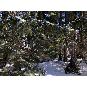 รูปถ่าย ฝรั่งเศส(France) เมแฌฟว์(Megeve) 2019-03 87