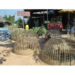 รูปถ่าย ไทย(Thailand) พิษณุโลก(Phitsanulok) ถนนสิงหวัฒน์(Singhawat Road) 2008-01 33