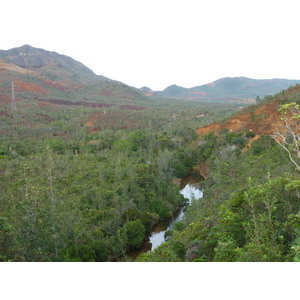 รูปถ่าย นิวแคลิโดเนีย(New Caledonia) อุทยานริเวียร์เบลอ(Parc de la Riviere Bleue) 2010-05 89