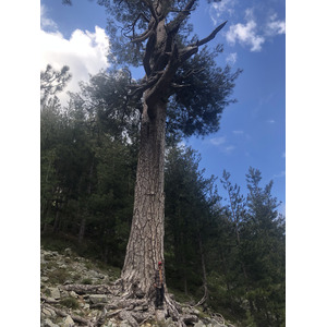รูปถ่าย ฝรั่งเศส(France) คอร์สิคา(Corsica) ทะเลสาบเมโลและกาปีเตลโล(Lac de Melo et Capitello) 2021-06 165