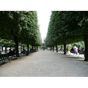 รูปถ่าย ฝรั่งเศส(France) ปารีส(Paris) มหาวิหารน็อทร์-ดาม(Notre Dame) 2007-05 100