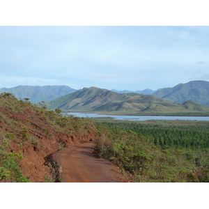 รูปถ่าย นิวแคลิโดเนีย(New Caledonia) อุทยานริเวียร์เบลอ(Parc de la Riviere Bleue) 2010-05 135