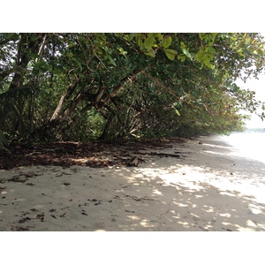 รูปถ่าย คอสตาริกา(Costa Rica) กาอุยตา(Cahuita) 2015-03 183