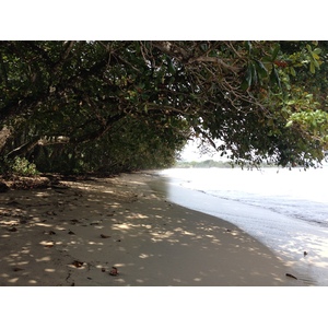รูปถ่าย คอสตาริกา(Costa Rica) กาอุยตา(Cahuita) 2015-03 92