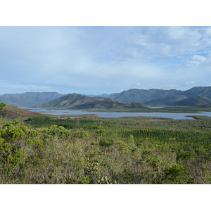 รูปถ่าย นิวแคลิโดเนีย(New Caledonia) อุทยานริเวียร์เบลอ(Parc de la Riviere Bleue) 2010-05 30