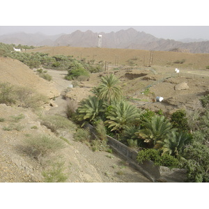 รูปถ่าย โอมาน(Oman) จากบูไรมิไปถนนโซฮาร์(Buraimi to Sohar road) 2005-03 18