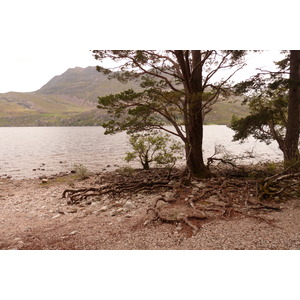 รูปถ่าย อังกฤษ(United Kingdom) สกอตแลนด์(Scotland) ทะเลสาบลอคมารี(Loch Maree) 2011-07 8