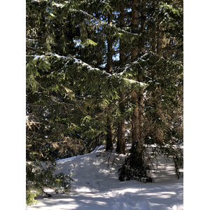 รูปถ่าย ฝรั่งเศส(France) เมแฌฟว์(Megeve) 2019-03 20