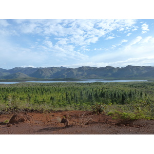 รูปถ่าย นิวแคลิโดเนีย(New Caledonia) อุทยานริเวียร์เบลอ(Parc de la Riviere Bleue) 2010-05 118