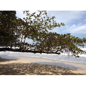 รูปถ่าย คอสตาริกา(Costa Rica) กาอุยตา(Cahuita) 2015-03 156