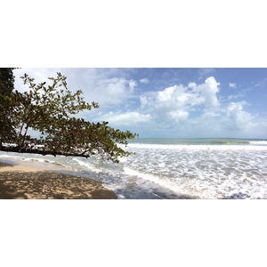 รูปถ่าย คอสตาริกา(Costa Rica) กาอุยตา(Cahuita) 2015-03 177