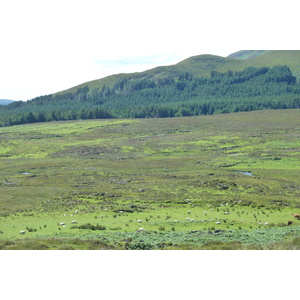 รูปถ่าย อังกฤษ(United Kingdom) เกาะสกาย(Skye) เทือกเขาคูลิน(The Cuillin) 2011-07 34