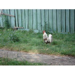 รูปถ่าย รัสเซีย(Russia) จากคาซานไปนิจนีนอฟโกรอด(From Kazan to Nizhniy Novgorod) 2006-07 117